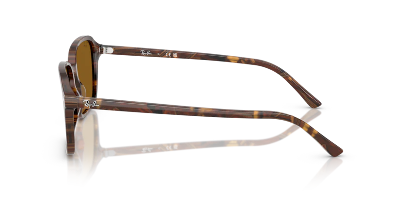 RB2231F - RAIMOND - Image 10