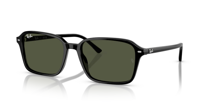 RB2231F - RAIMOND - Image 3