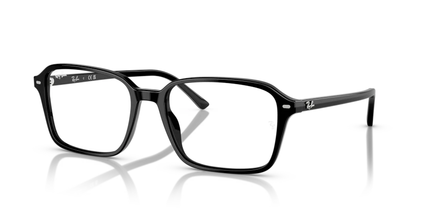 RB2231F - RAIMOND - Image 5