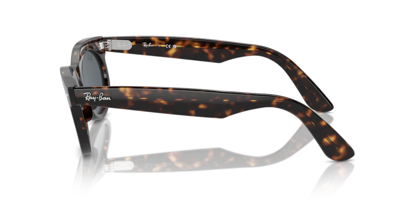 RB2242 - WAYFARER OVAL - Image 24