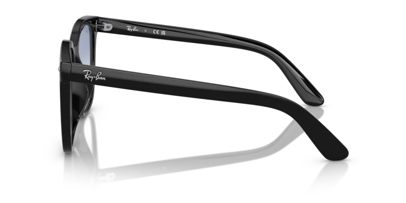 RB4401D - Image 2