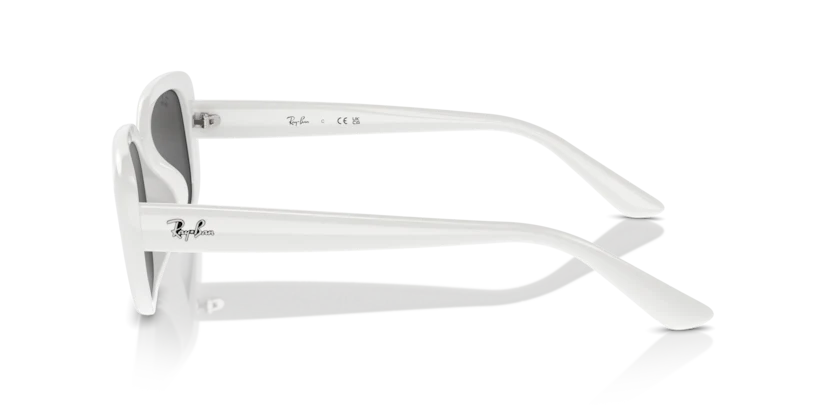 RB4421D - Image 6