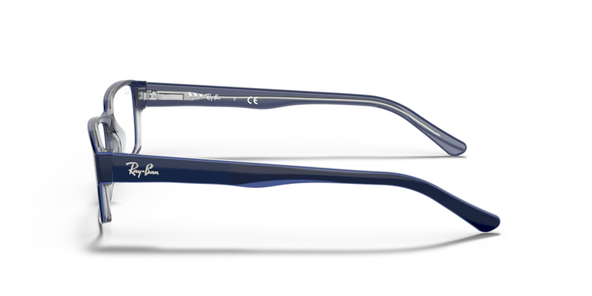 RX5169 - Image 4