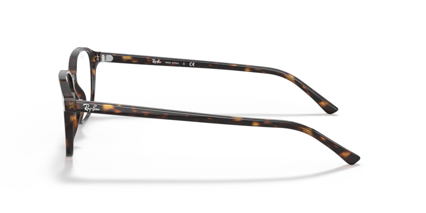 RX5393 - LEONARD - Image 6