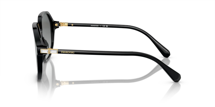 SK6003 - Image 2