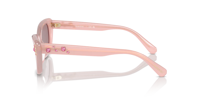 SK6019F - Image 4